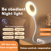 USB Smart Voice Control Light