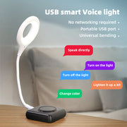 USB Smart Voice Control Light